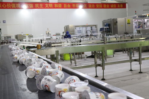 以“店小二”姿态赋能西宁经济社会建设 专业咨询服务的角色与价值